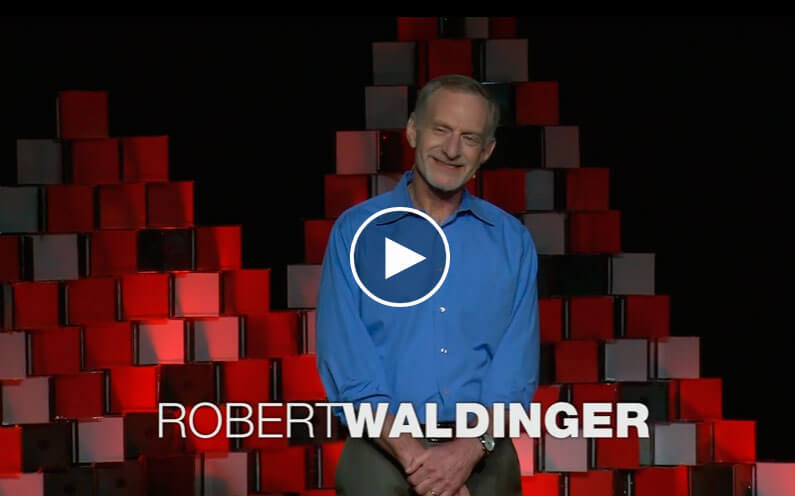Palestra-Robert-Waldinger---TED