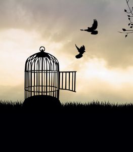 A palavra grega para perdão significa algo como "jogar para longe", "libertar-se", "soltar". Créditos da imagem: Fotolia